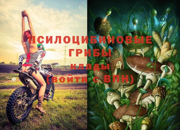 прущие крисы Протвино