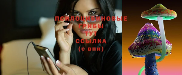 кокс Баксан